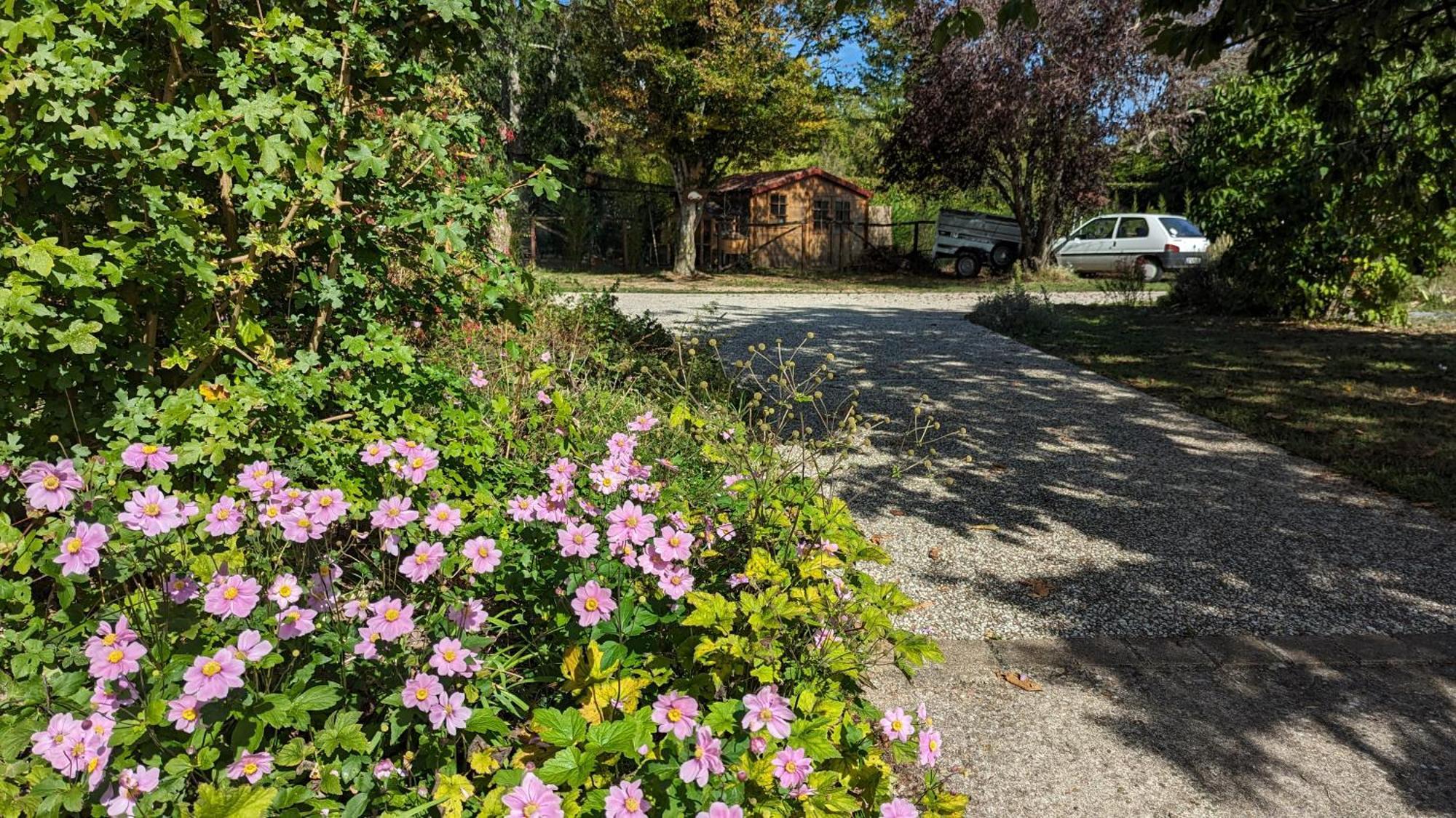 Au Bonheur De Cisse Bed & Breakfast Chouzy-sur-Cisse Bagian luar foto