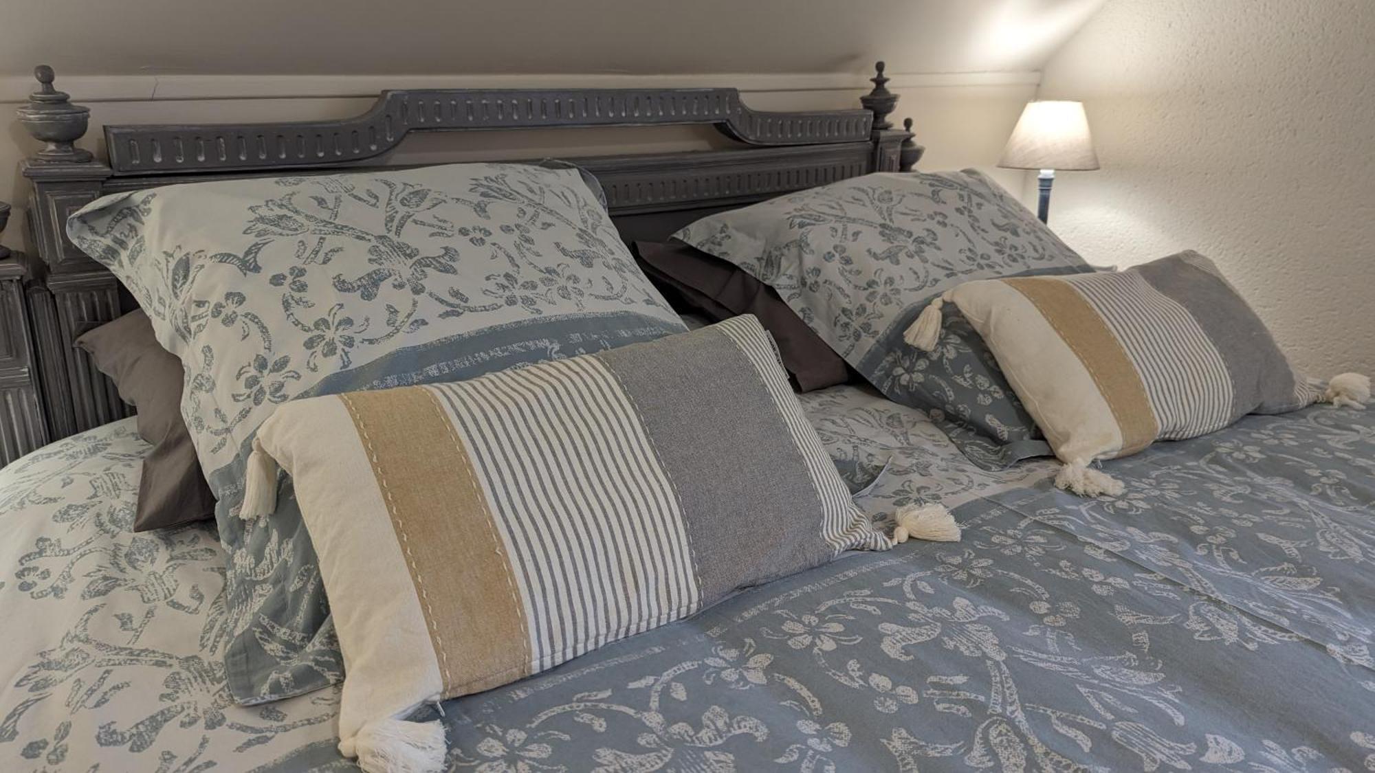 Au Bonheur De Cisse Bed & Breakfast Chouzy-sur-Cisse Bagian luar foto